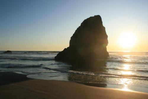 Holiday Inn Express Fort Bragg an IHG Hotel - image 7