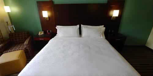 Holiday Inn Express Hotel & Suites West Point-Fort Montgomery an IHG Hotel - image 2