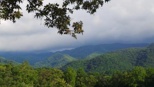 Smoky Mountain Majesty - image 5