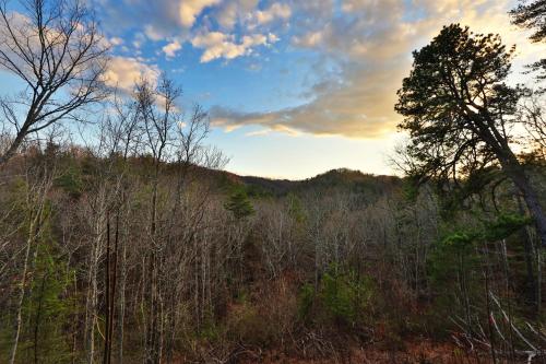 Shooting Stars, Sevierville (photo 3)