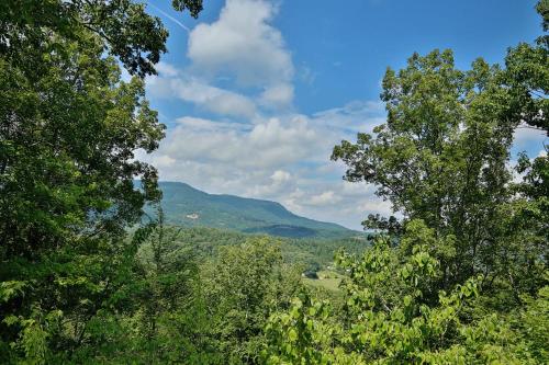 Falcon's View - image 7