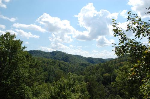 Treetops, Sevierville (fotografie 3)