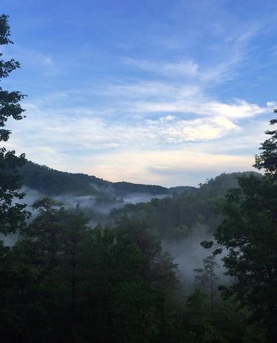 Treetops, Sevierville (fotografie 7)
