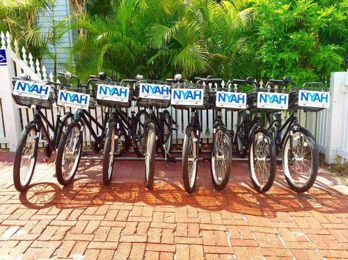 Nyah - Adult Exclusive in Key West, USA