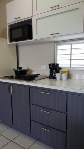 Latitude Adjustment - image 3