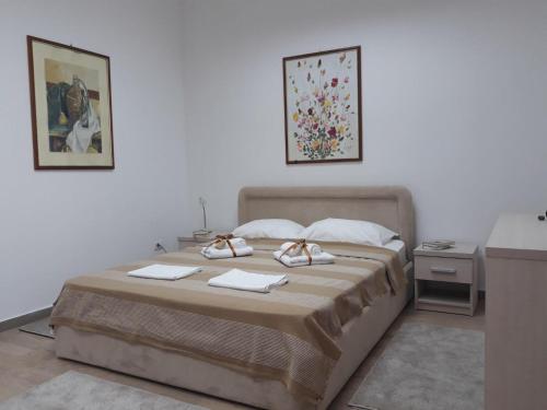 Accommodation in Opština Beograd-Zvezdara