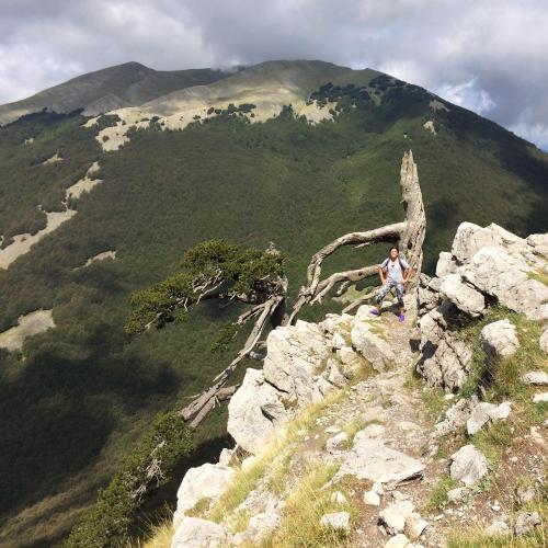 Casa Vacanze del Pollino