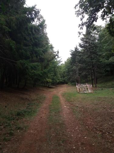 Casa Vacanze del Pollino