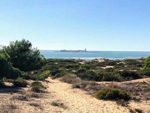  Apartamento Zinna in Chiclana de la Frontera