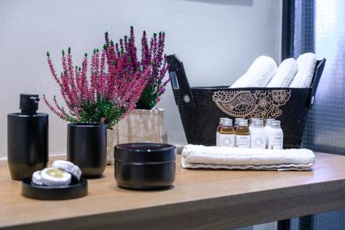 Hidesign Athens Acropolis Panorama Suite - image 3