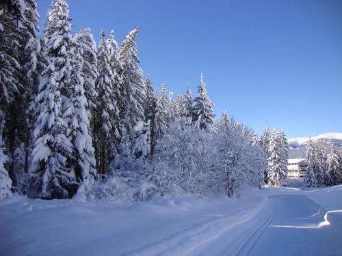 Haus Annemarie Apartments Kartitsch - Hochpustertal