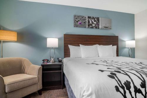 Sleep Inn & Suites near Westchase - image 7