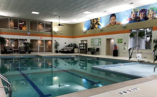 สระว่ายน้ำ, Holiday Inn & Suites Chicago-Carol Stream (Wheaton) By IHG in แครอลสตรีม (IL)