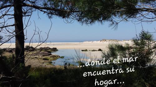 OLardoMar - image 2