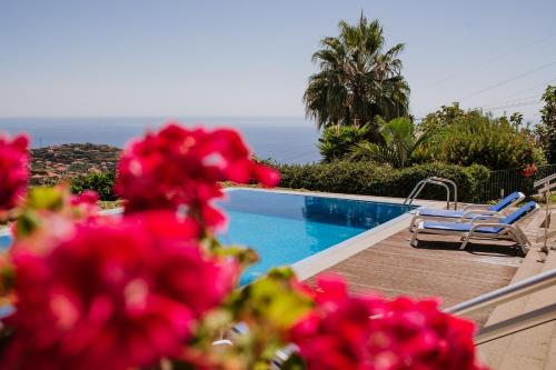 Villa Sol by Amazing Madeira 5