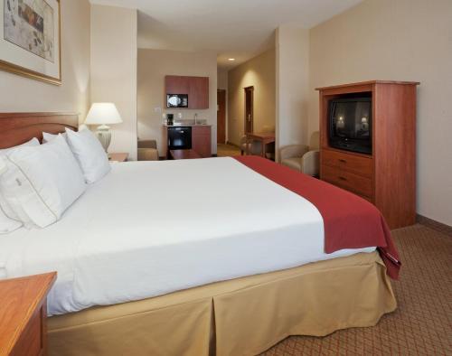 Holiday Inn Express Hotel & Suites Carson City