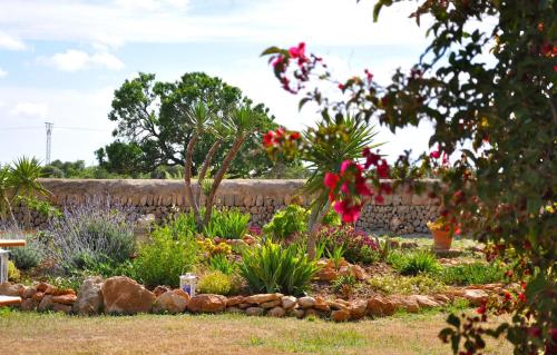 Finca Can Paulino - image 4