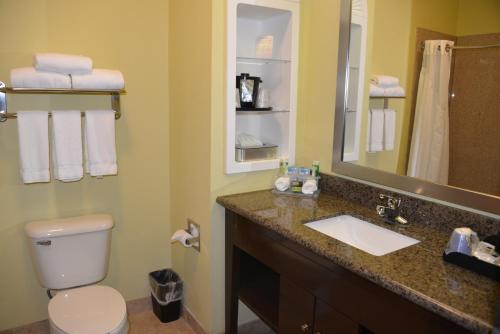 Holiday Inn Express Hotel & Suites Dumas, an IHG Hotel