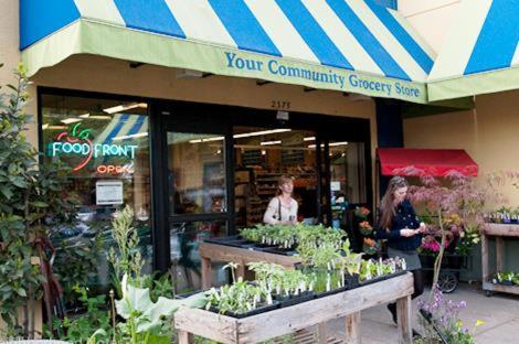 victorian studio