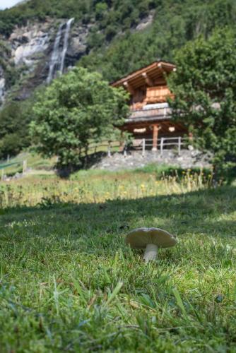  Agriturismo Salvasecca, Valbondione bei Cà Paini