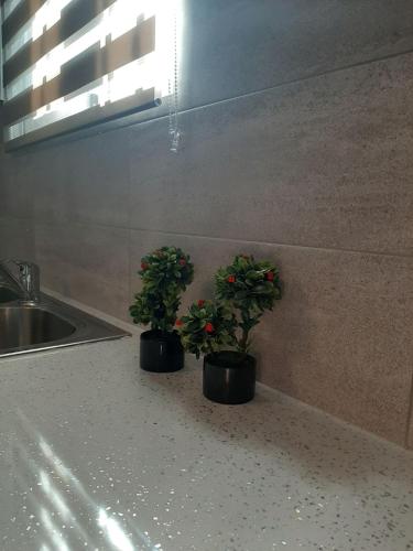 Vasilis House in พีร์กอส