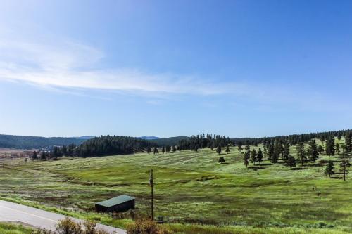 Split Pine Cabin in Pagosa Springs, USA