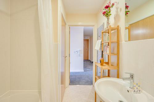 Mica Point City Centre Apartment - image 6
