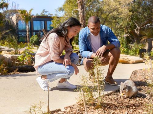 Wildlife Retreat at Taronga