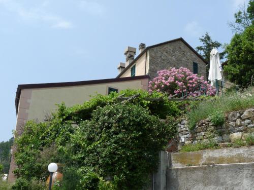 Tuvo Agriturismo - image 4