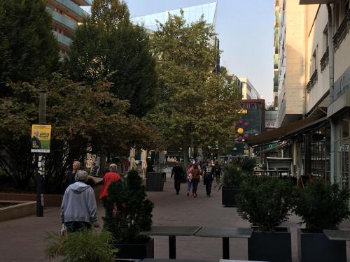  Comfort Zone CityCenter Apartment in Budapest