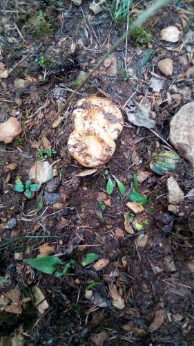  Despertar en Riglos in Riglos