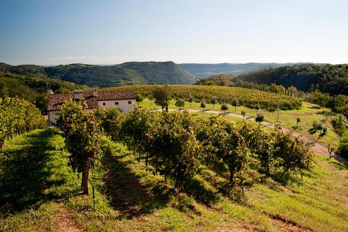  Agriturismo Del Rebene, Perarolo bei Sarego