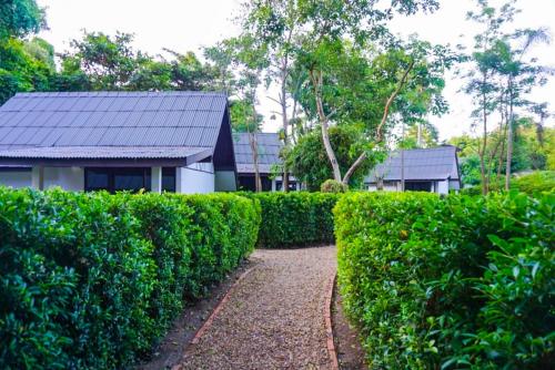 Garden, Banyan Resort@Rayong near Suan Son (Phe Arboretum)