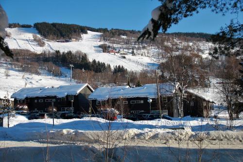 Hafjell Alpinlandsby Pluss - image 2