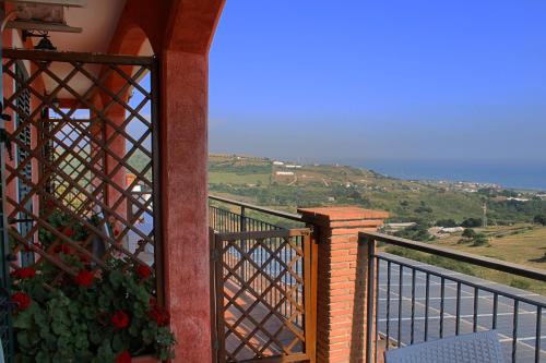 I Cardinali - image 7
