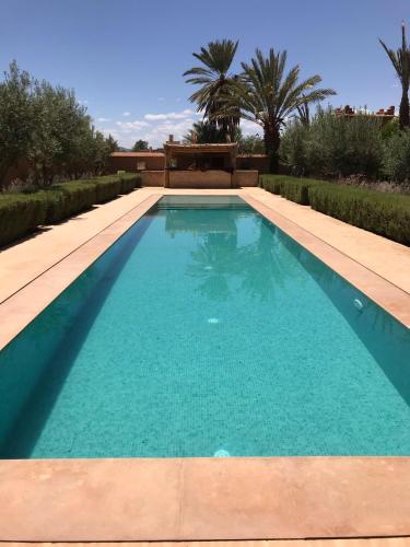 Swimming pool, Kasbah Tamsna in Ouarzazate