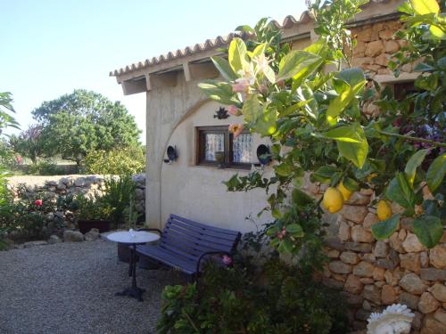 Finca Can Paulino - image 9
