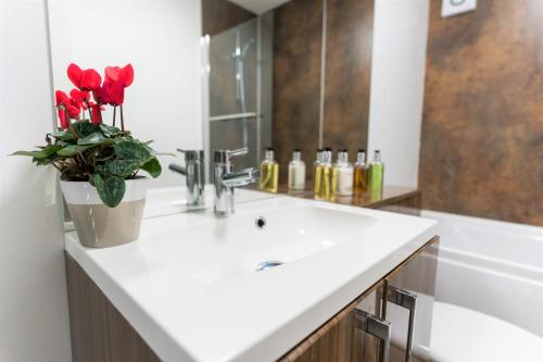 Irene Court Cockermouth - image 11