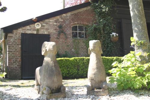 B&B De Leeghpoel in Rhenoy