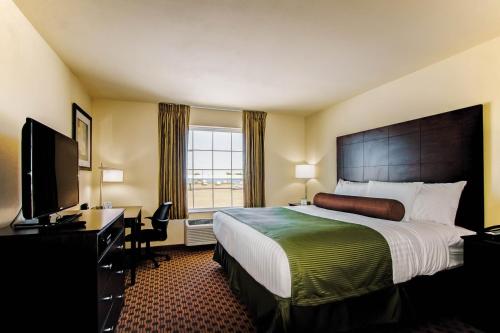 Cobblestone Inn & Suites - Eads - image 7