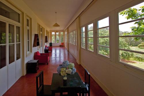 Quinta das Colmeias - image 12