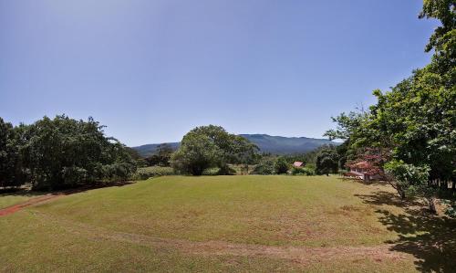Quinta das Colmeias - image 6