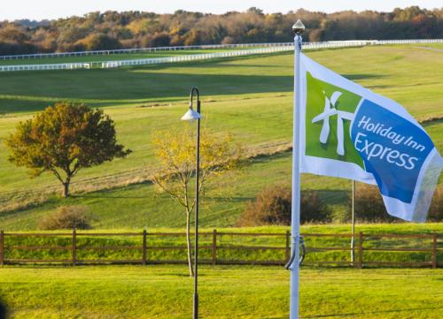Holiday Inn Express London - Epsom Downs an IHG Hotel - image 3