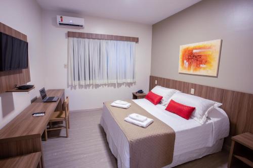 Carlton Plaza Hotel Uberlandia - 액티비티