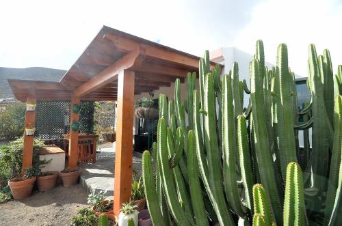  Casa Caballería in Vallebrón