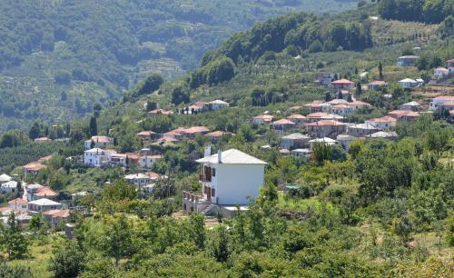  Pelion Panoramic View Villa Maron, Pension in Zagora