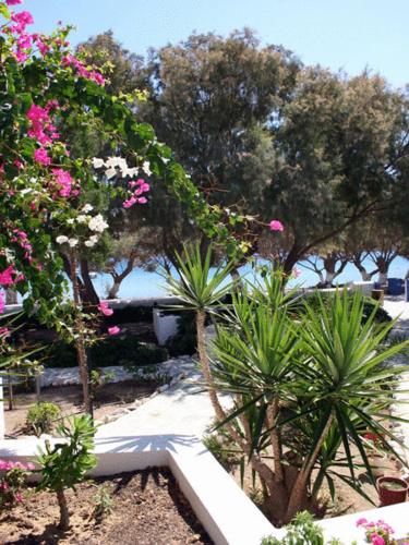 Mouras studios Greece