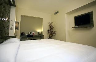 Hotel Diplomatic, Torino (foto 4)