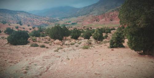 Maison d'Hôtes Agdal Telouet Maison d'Hôtes Agdal Telouet