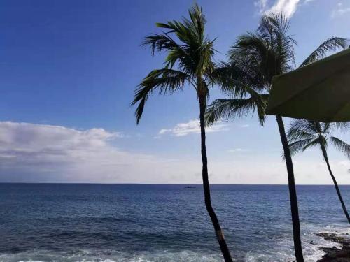 Strand, Volcano Forest Inn in Volcano (HI)